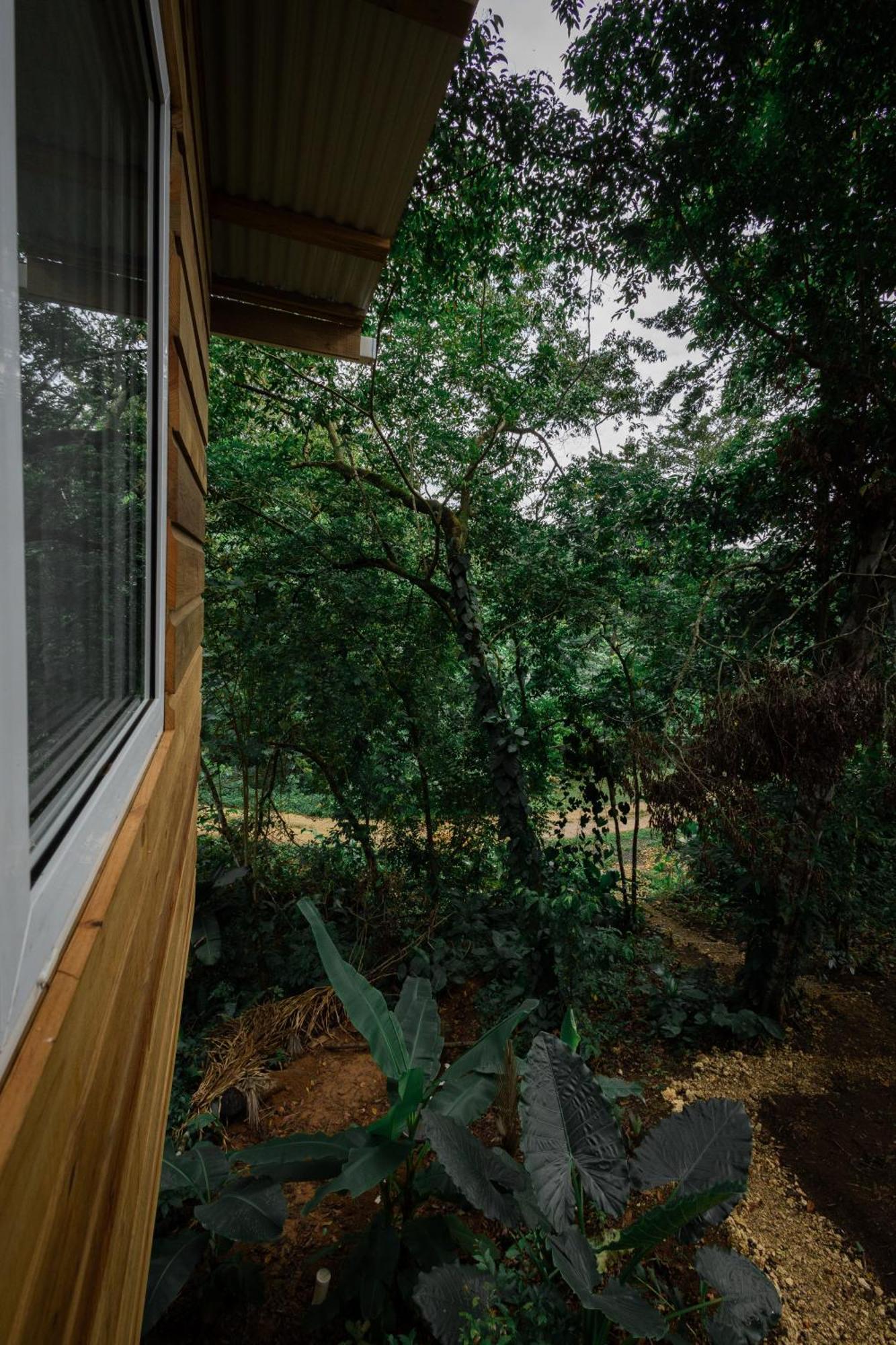 Monkey Tiny House - Private Swimming Pool Villa Big Bight ภายนอก รูปภาพ
